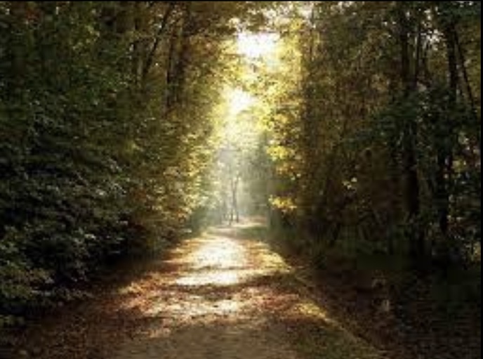 Frauen WS Waldweg klein
